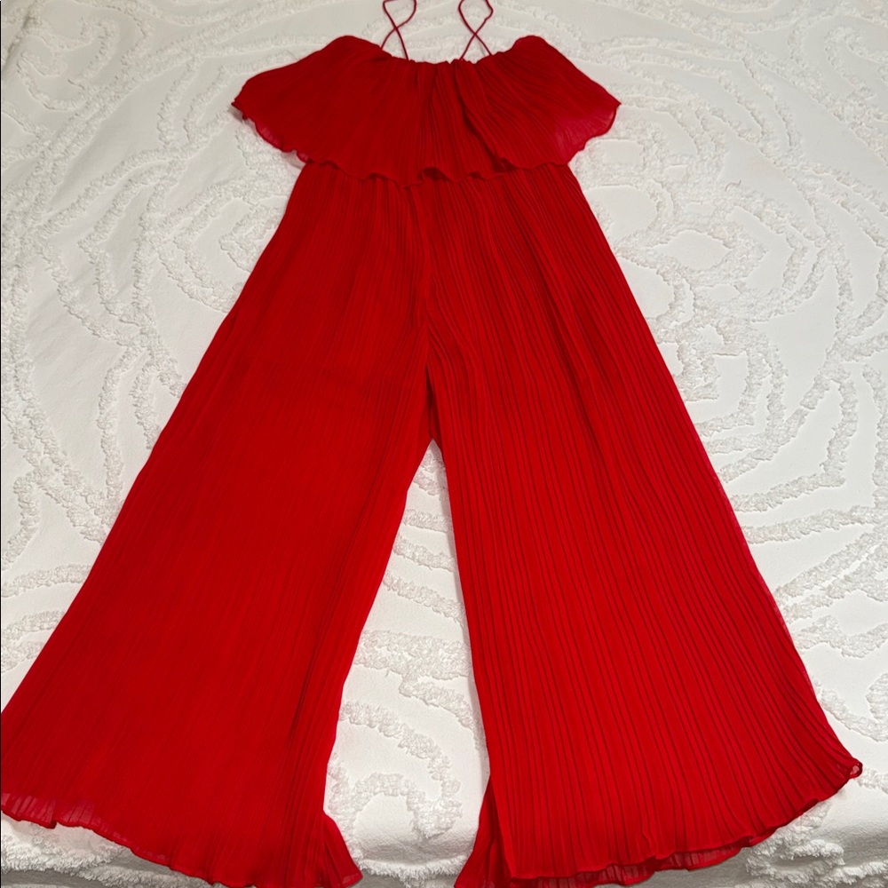 Zara Long Pleated Jumpsuit